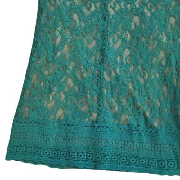 Anthro Champagne and Strawberry Lace Dress Floral Blue Shift Summer Size S - Picture 7 of 9